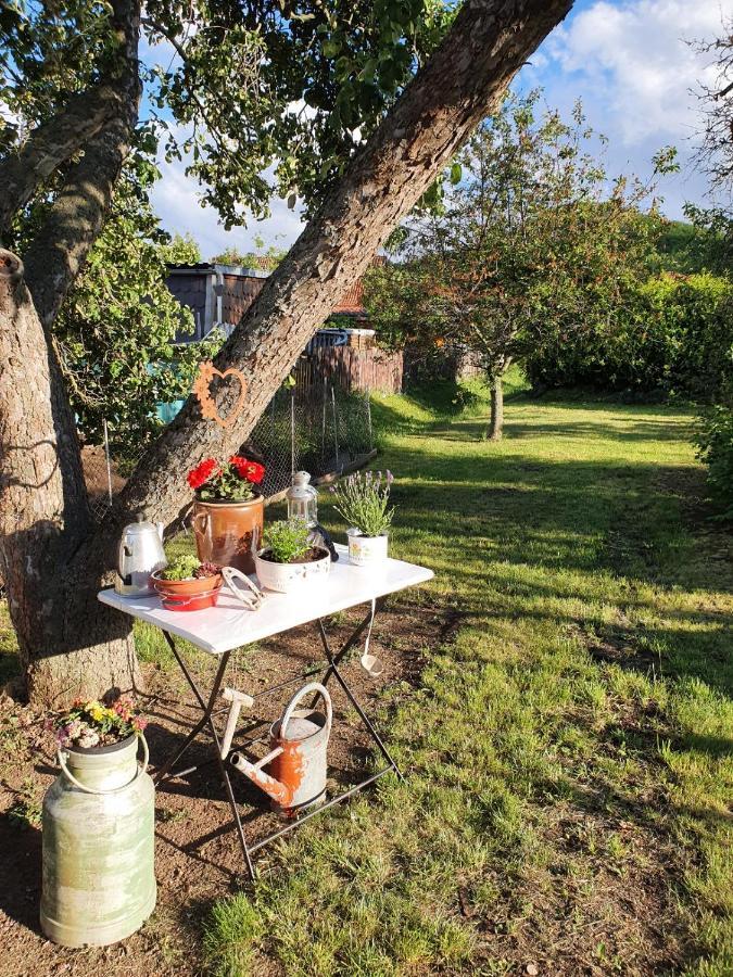 Ferienhaus "Am Staufenberg" Blankenburg  Eksteriør billede